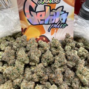 DOLCE GELATO PLUS