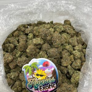 HIPPIES EXOTIC