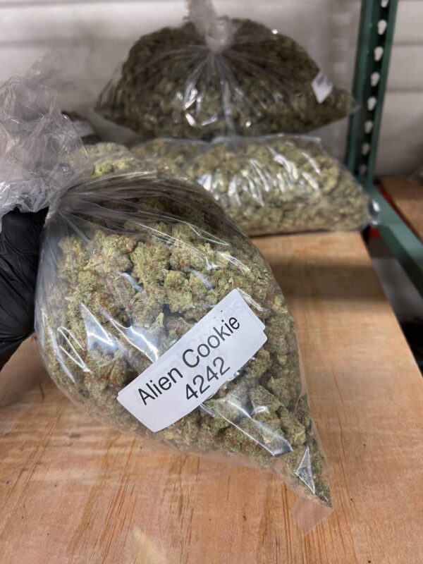 ALIEN COOKIES - Image 3