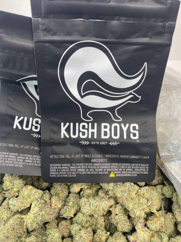 ALIEN COOKIES