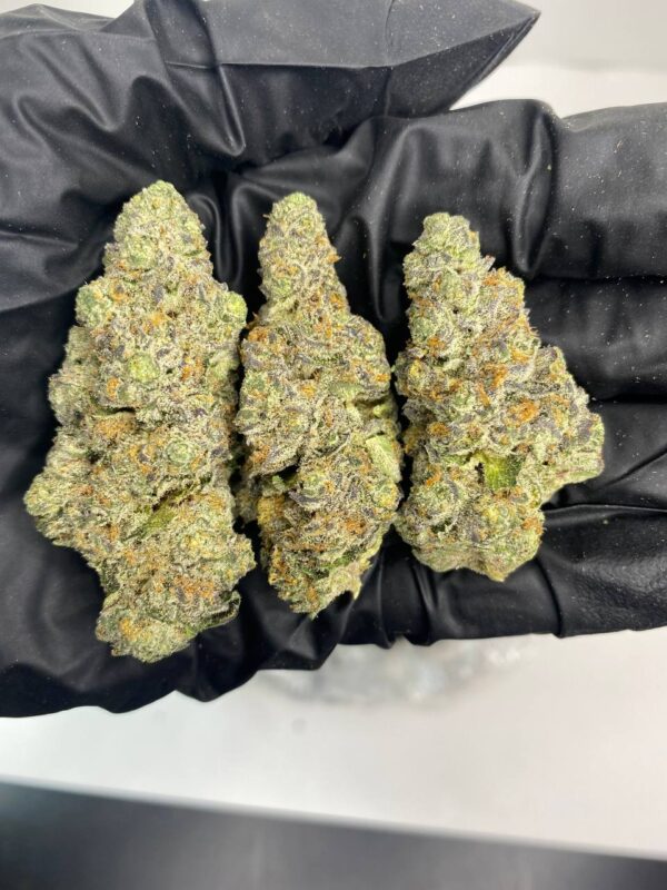 ALIEN COOKIES - Image 2