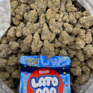 LATO POP by JOKE'S UP